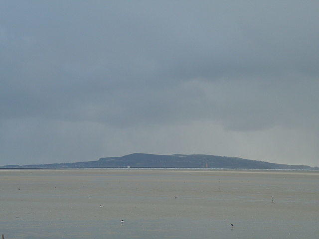 P1061029