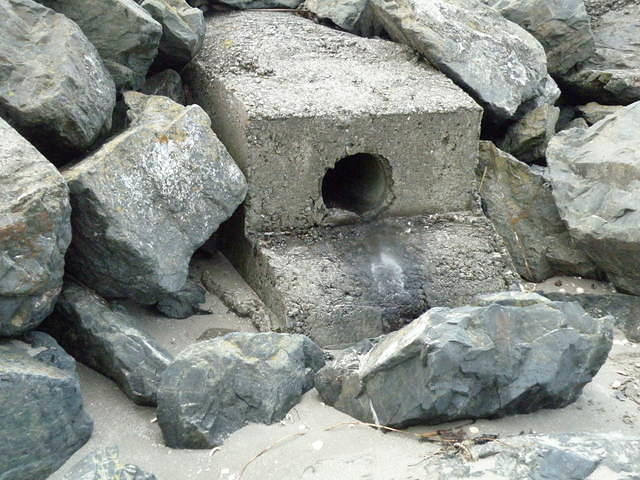 P1061036