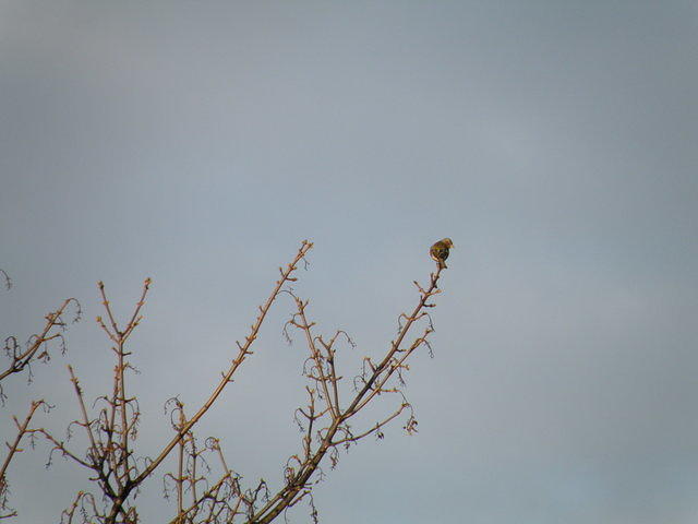 P1141113