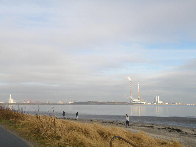 P1141119