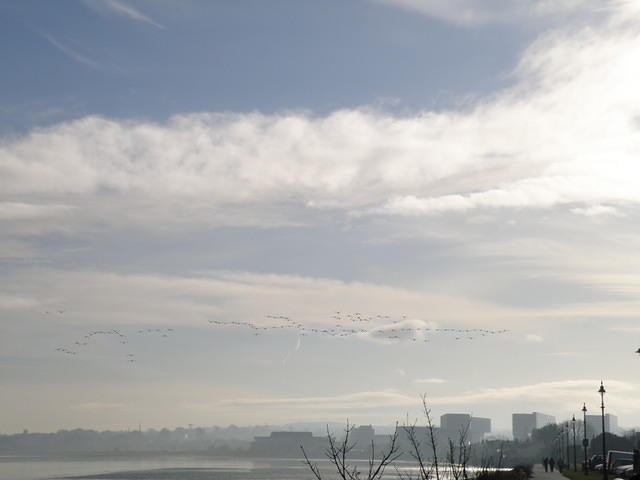 P1141123