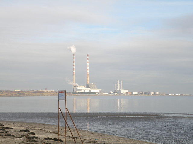 P1141124