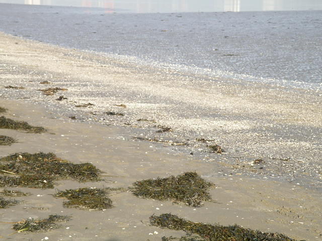 P1141143