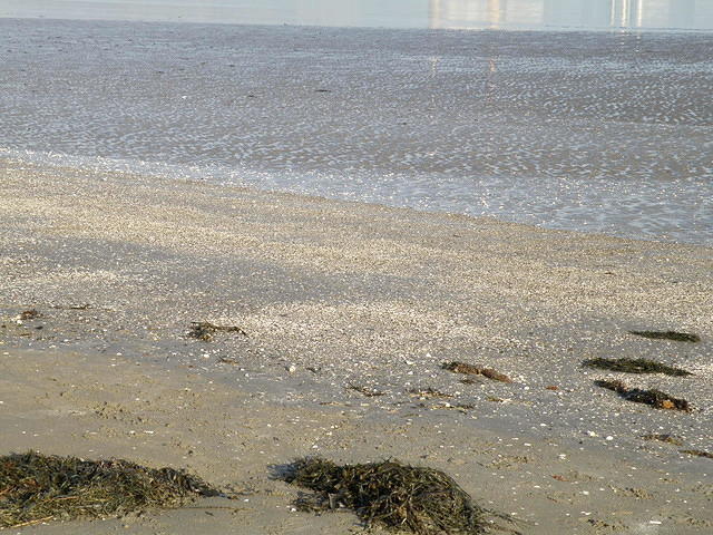 P1141144