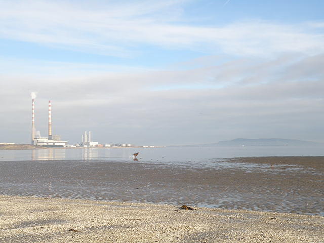 P1141150