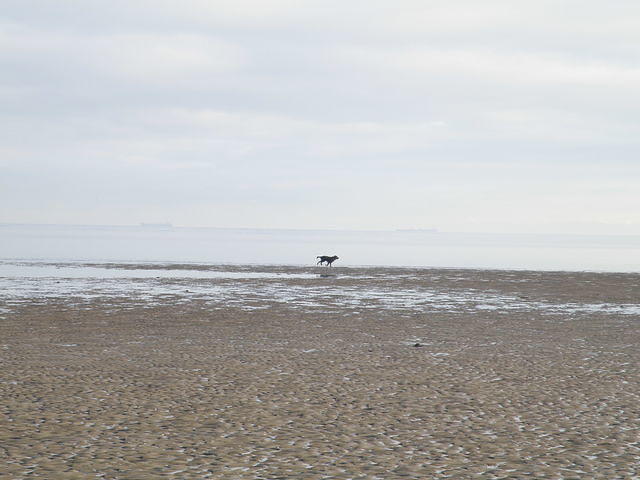 P1141160