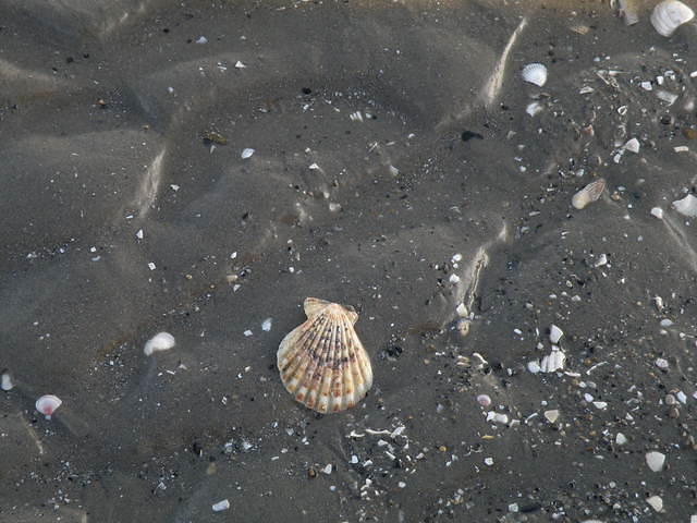 P1141162
