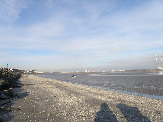 P1141173