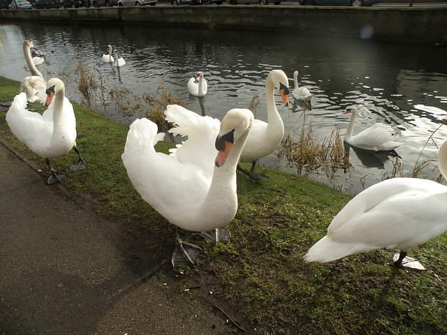 P1151211