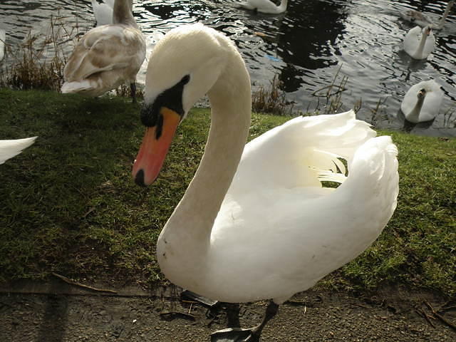 P1151223