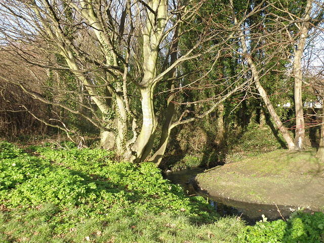 P1171256