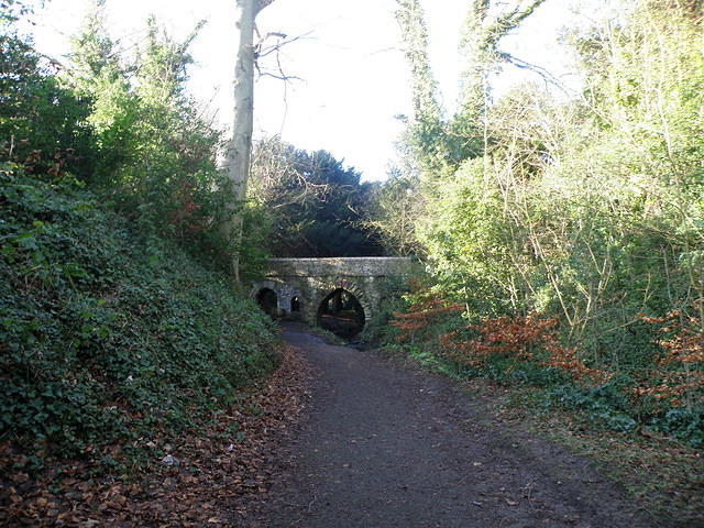 P1171291