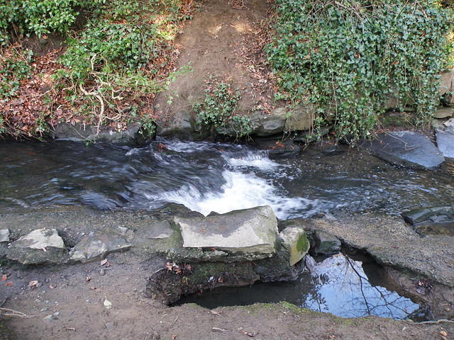 P1171294