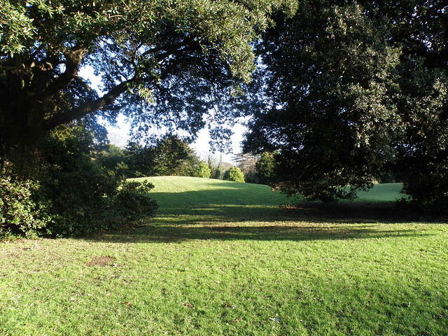 P1171305