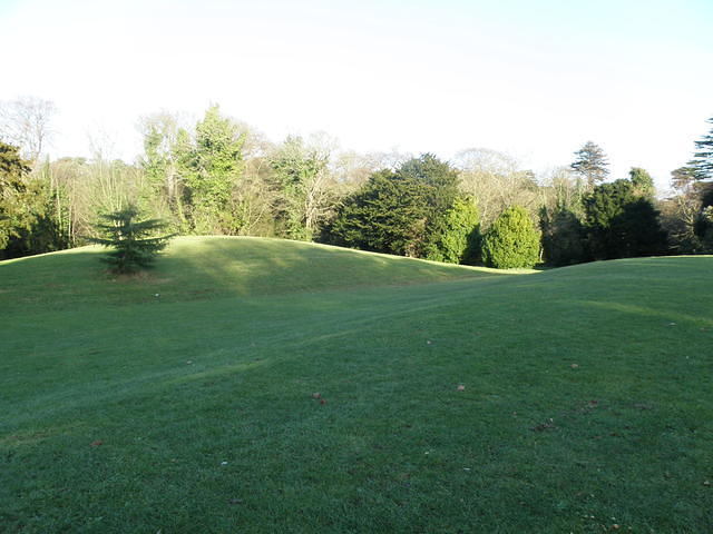 P1171306