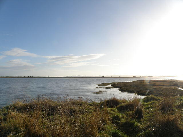 P1171328