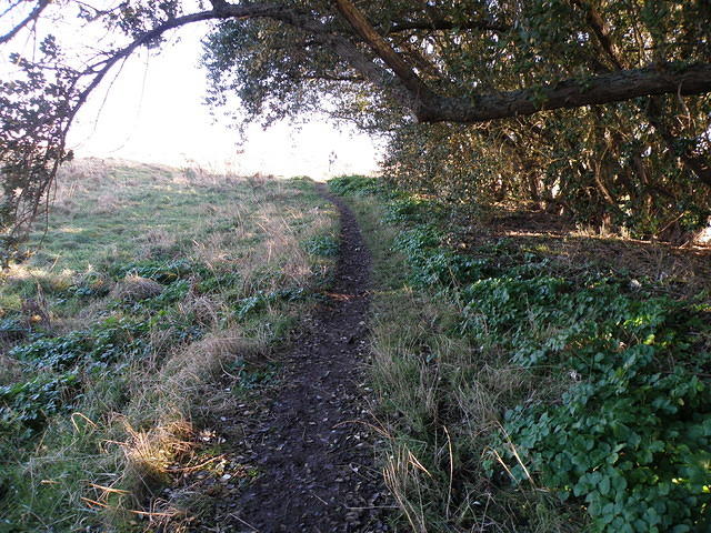 P1171334