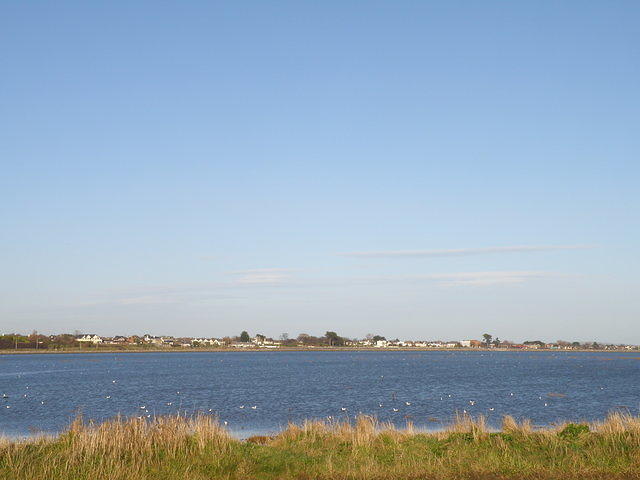 P1171349