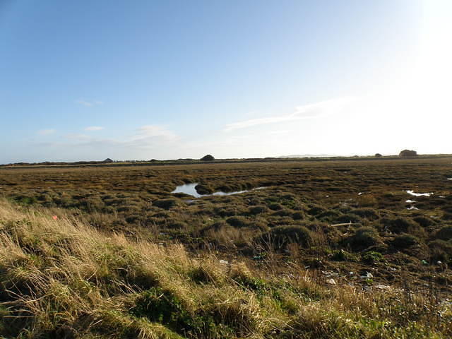 P1171351