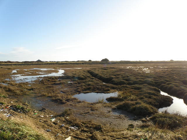 P1171352