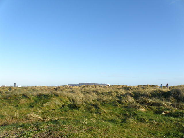 P1171360