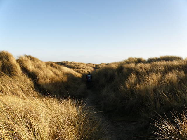 P1171367