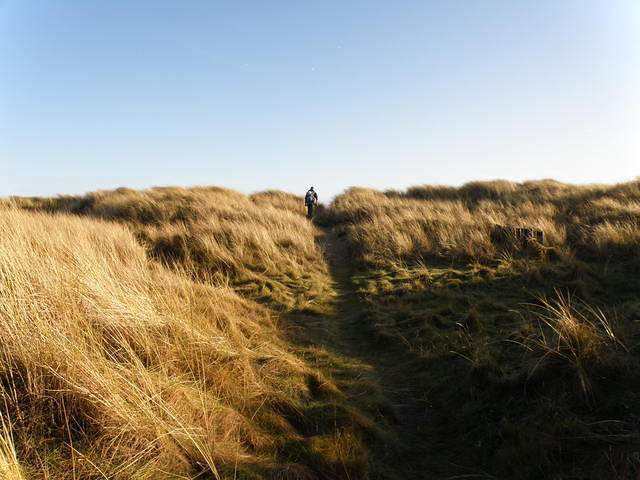P1171371
