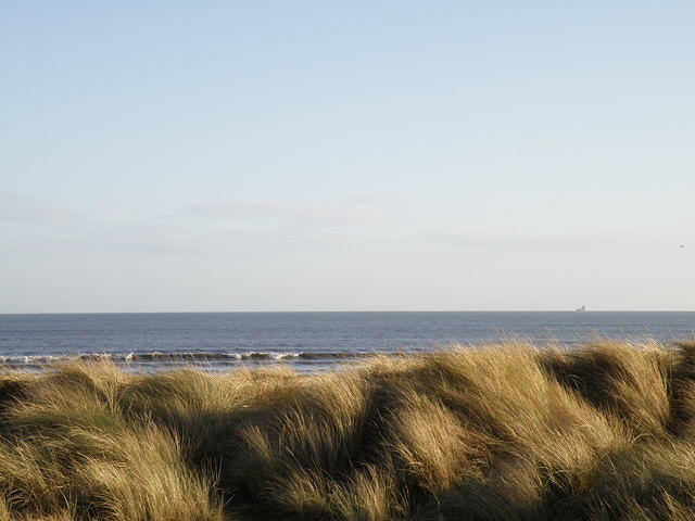 P1171377