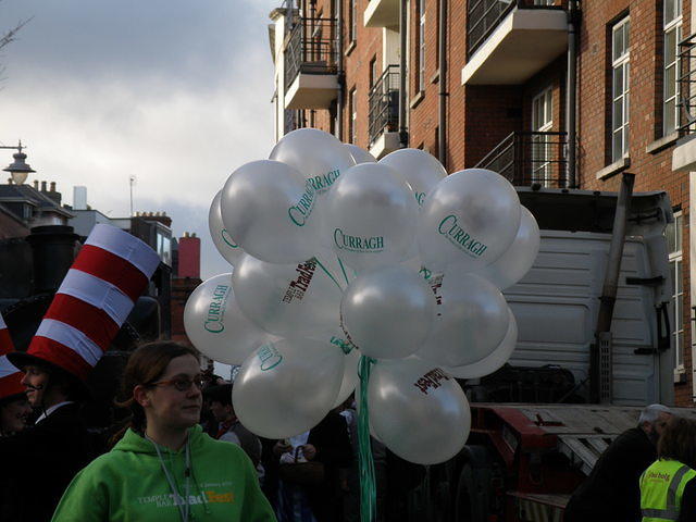P1311563