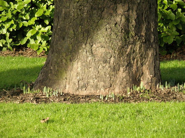 P2021660