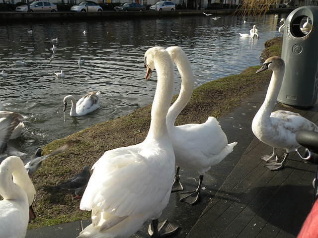 P2051739