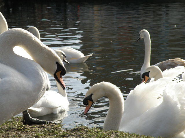 P2051756