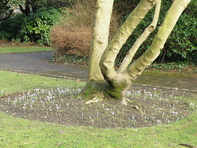 P2051783