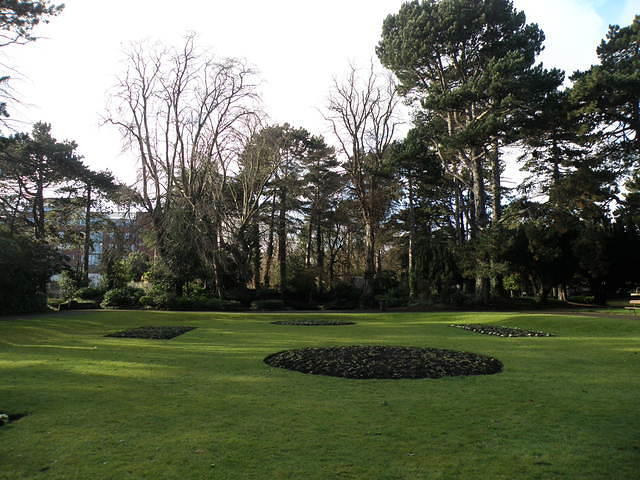 P2051801