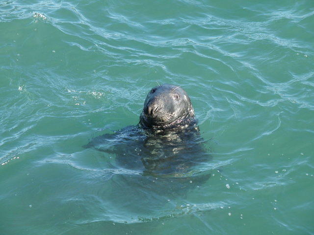 P3070698