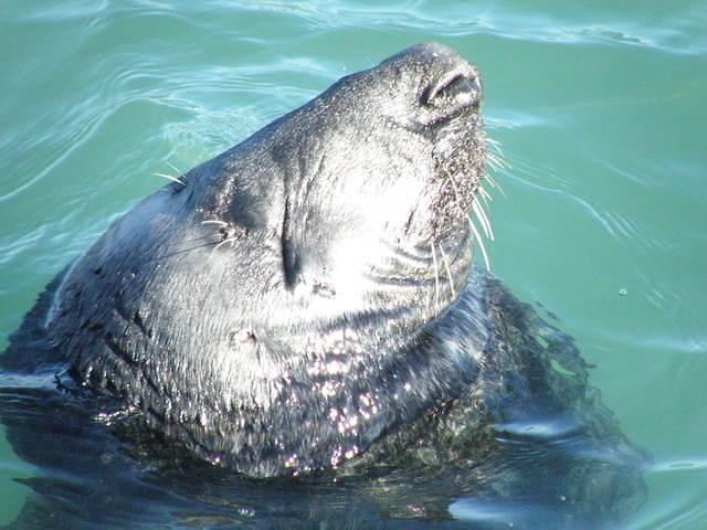 P3070749