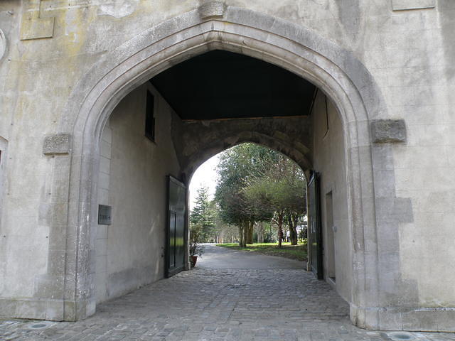 P3211331