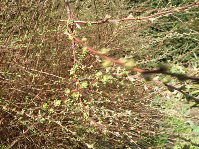 P3211346