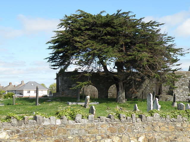 P5091732