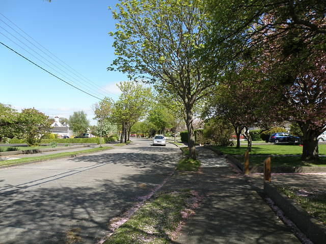 P5091755