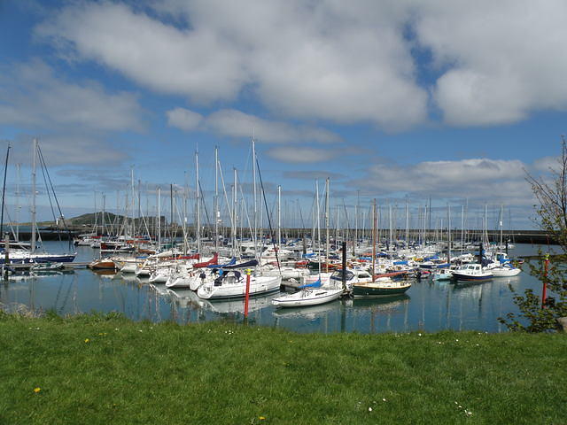 P5091861
