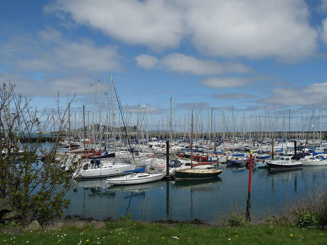 P5091862