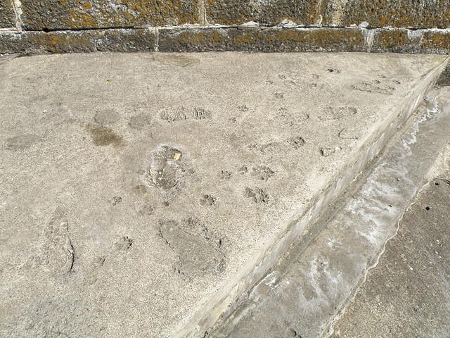 P5091917