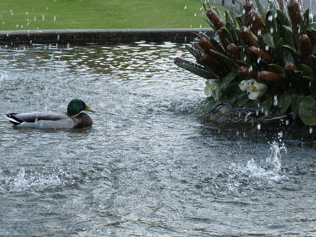 P5122032