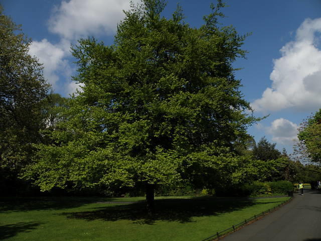 P5122045