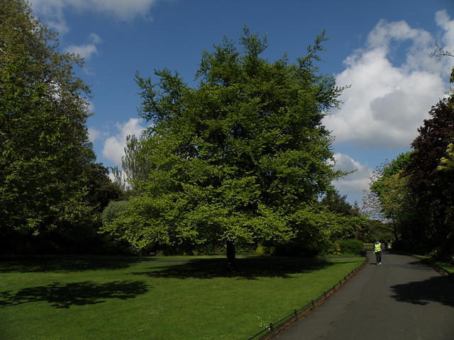 P5122046