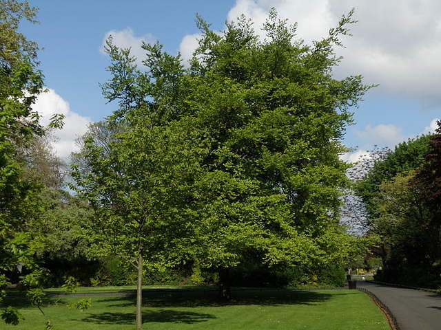 P5122047