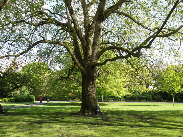 P5122061