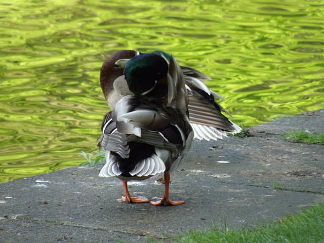 P5122080