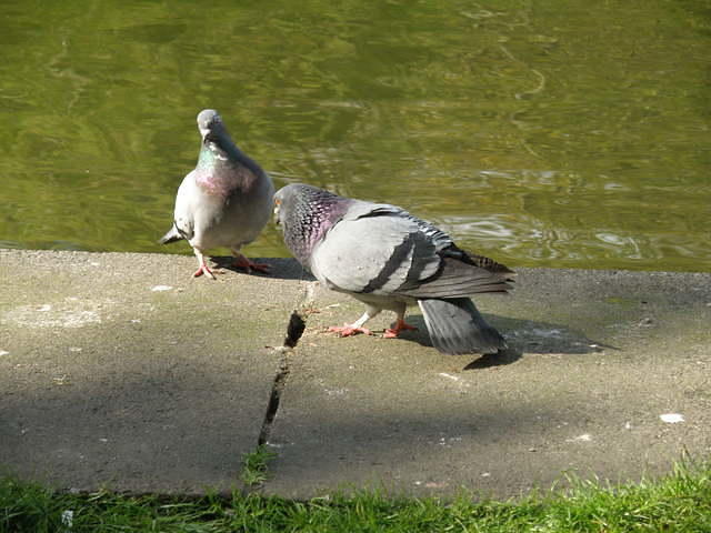 P5122088